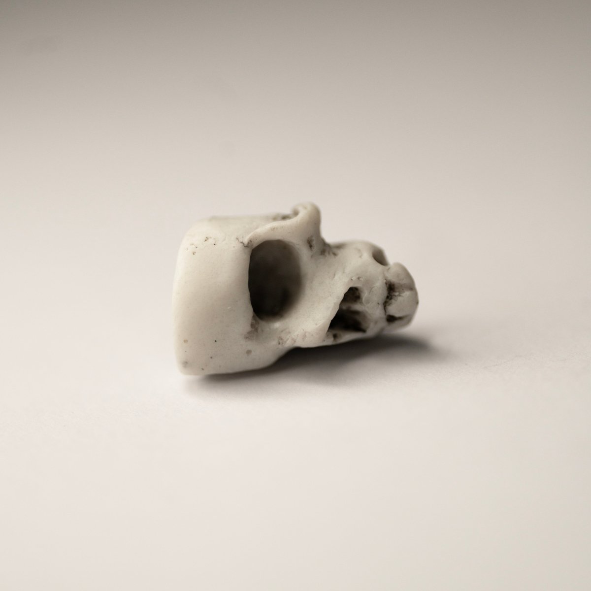 Skull Fragment earring on white background, close-up of a bone texture