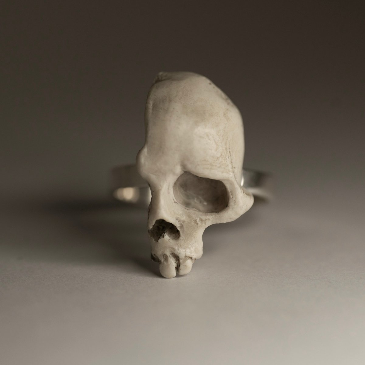 Skull Fragment ring on a grey background, front view