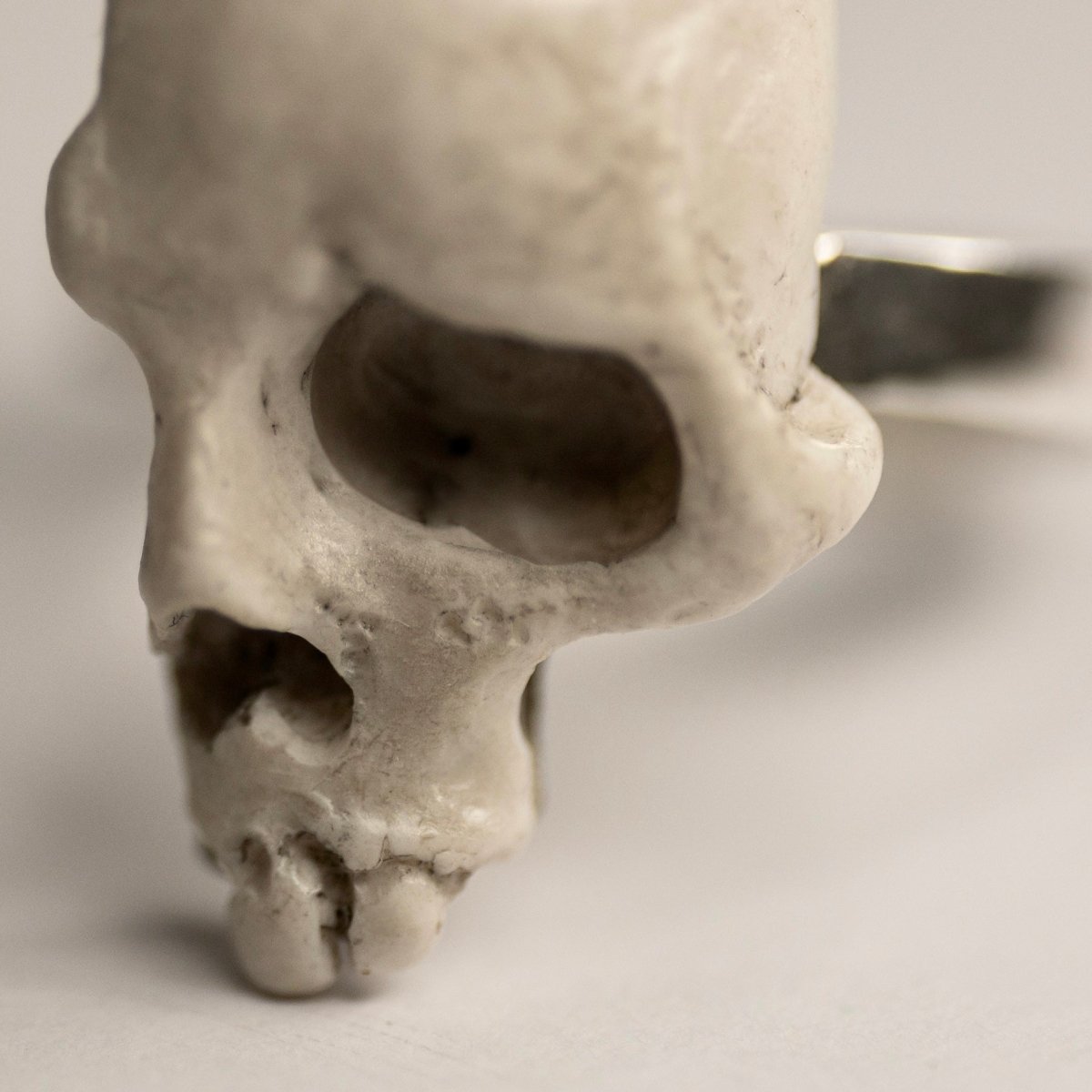 Skull Fragment ring by Macabre Gadgets - close up of the skull's "bone" texture