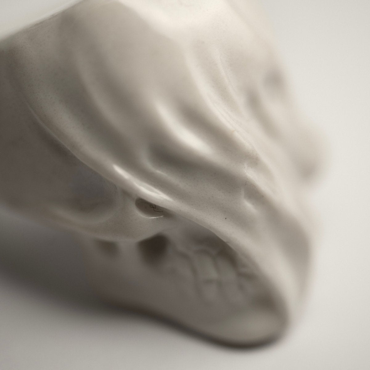 Veiled Skull ring - close up of a sculpted skull details