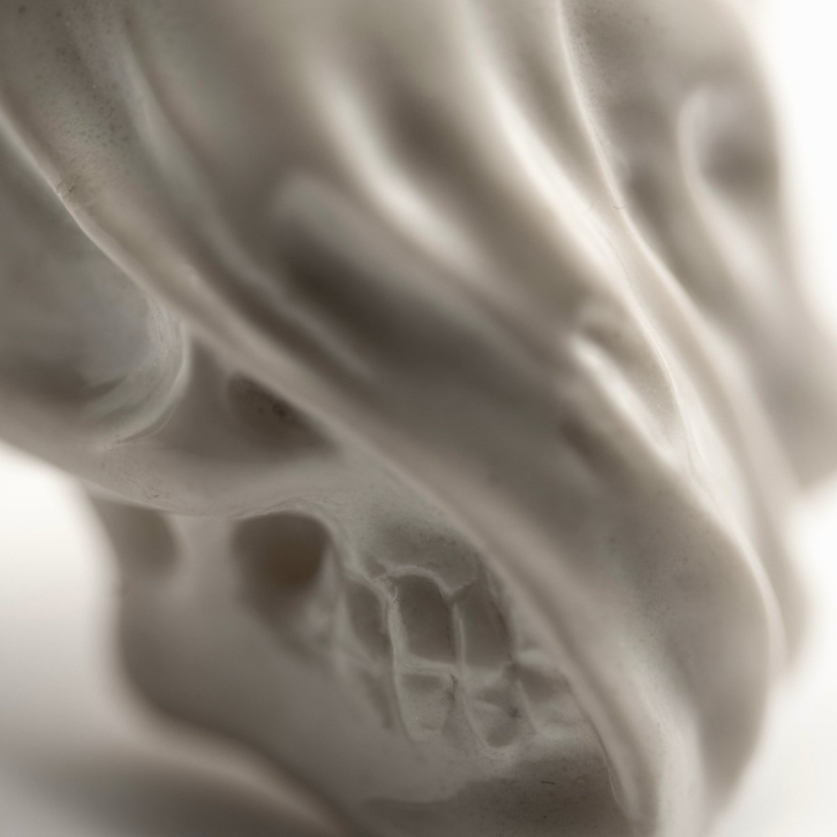 Veiled Skull ring - close up of the skull features and folds of the veil