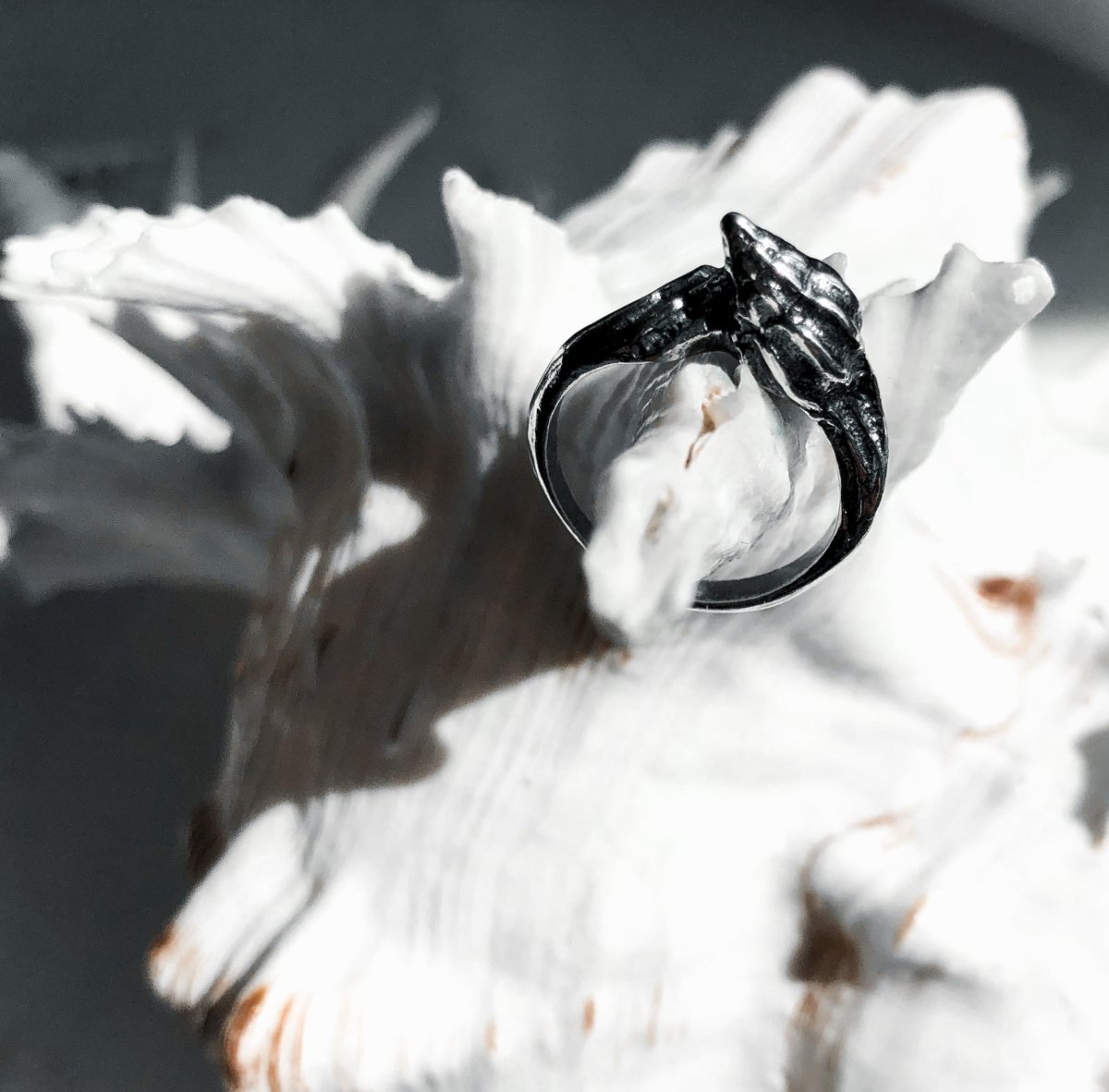 LATIRUS SHELL RING - Macabre Gadgets Store
