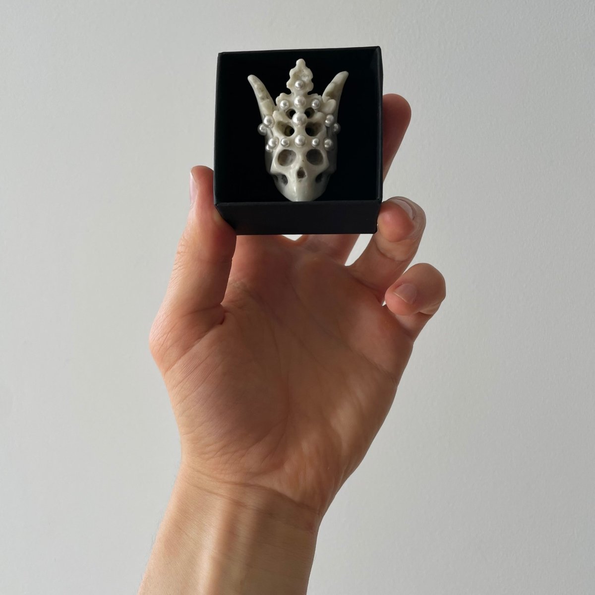 A hand holds Pearl Crown Skull Ring in a jewelry box - skull ring representation shot